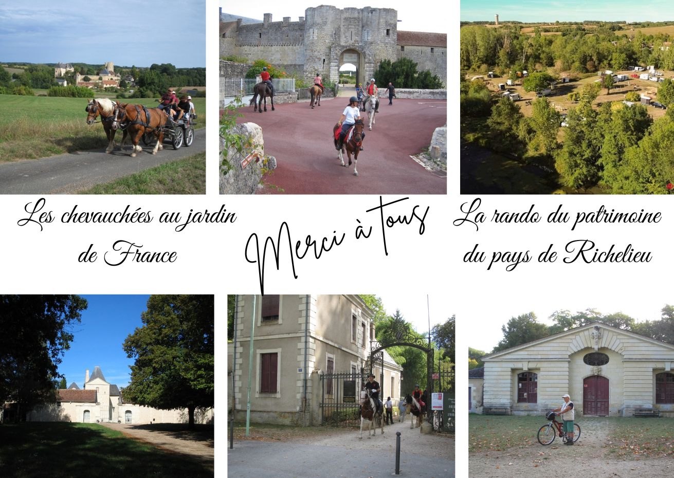 carte postale remerciements equi37