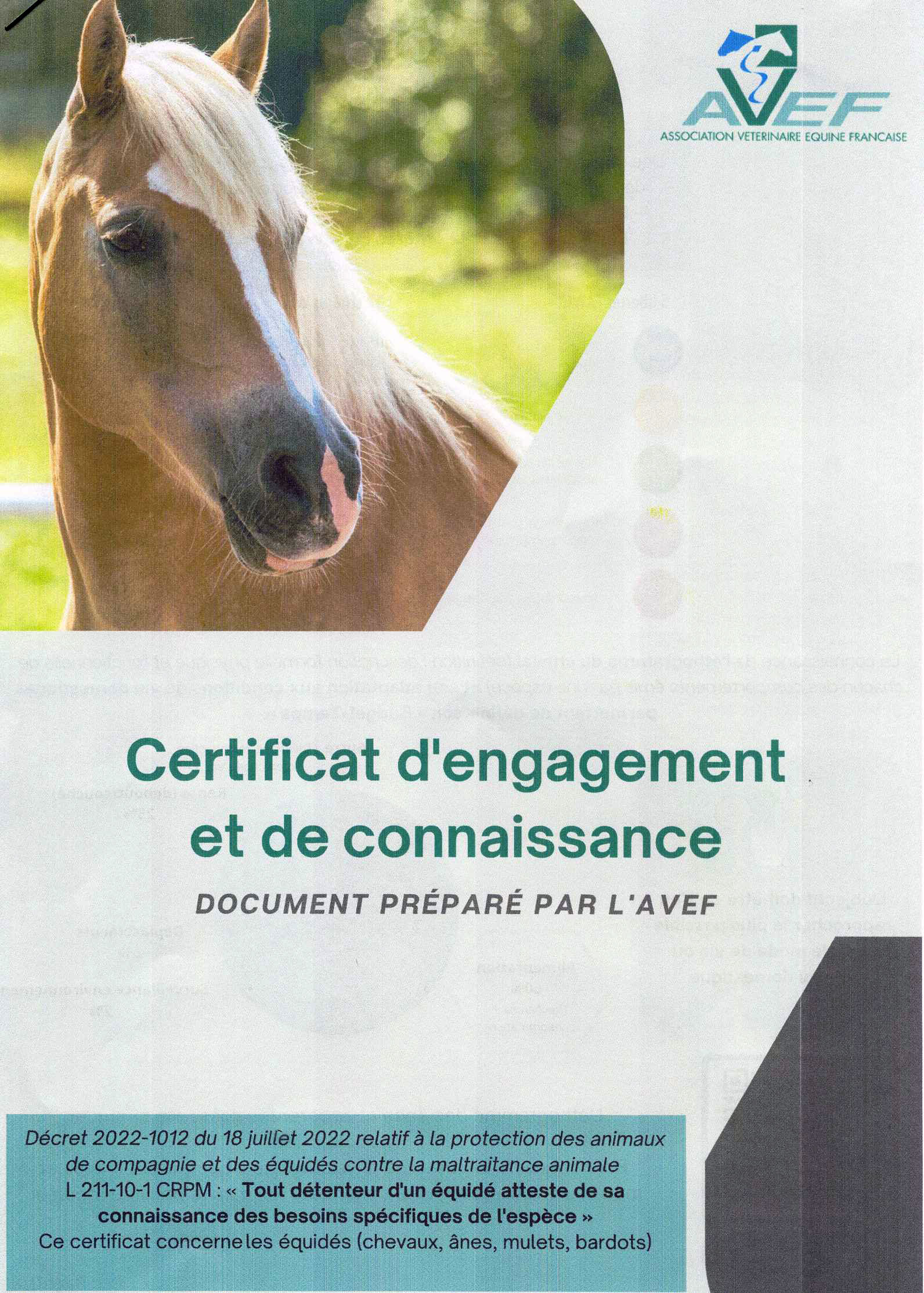 image certificat engagement