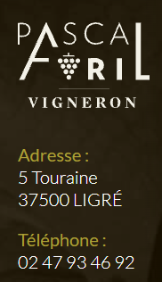 Pascal Avril Vigneron