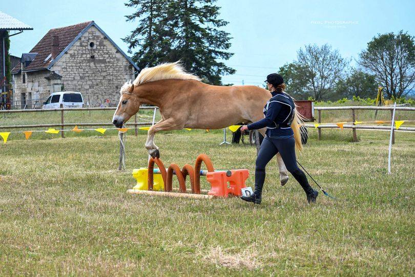 634823796 1378473120744638 3577622716946114813 n