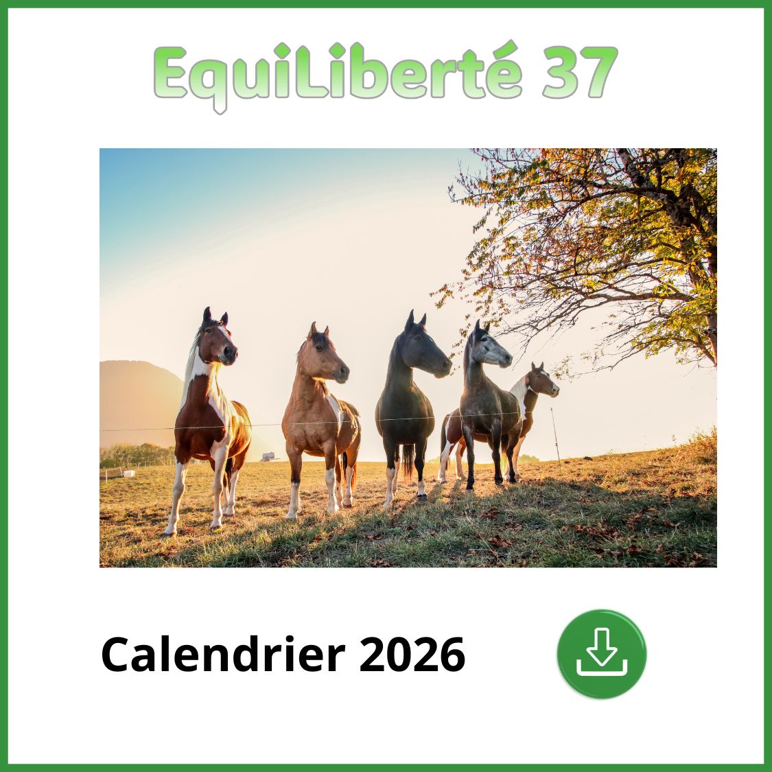 Calendrier 2026 site
