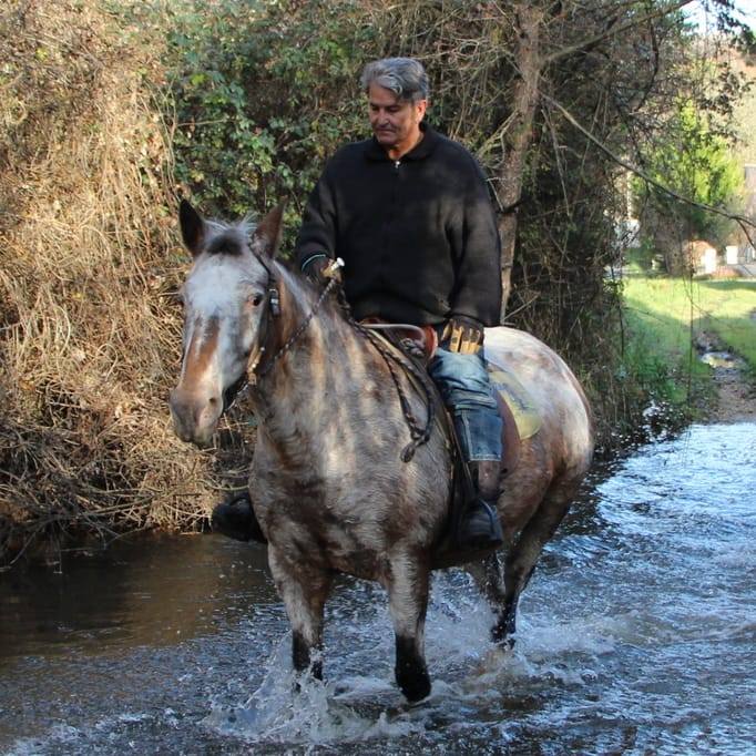 Michel Grand des Galops du pays de Langeais